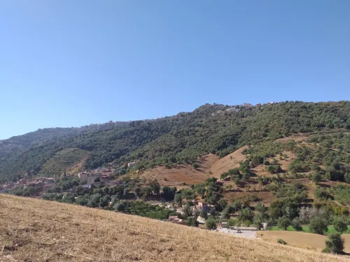 Vente Terrain Tizi Ouzou Tizi rached