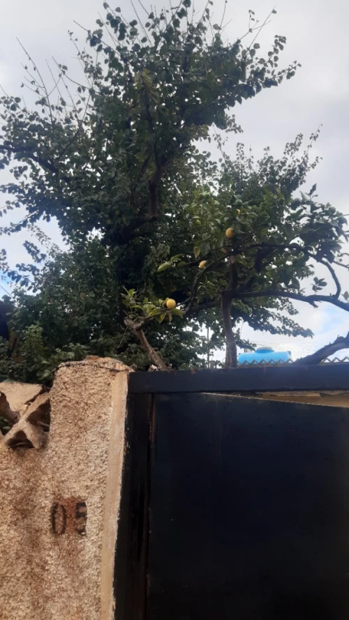Vente Villa Tipaza Fouka