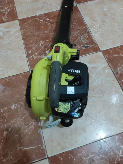 Souffleur Ryobi