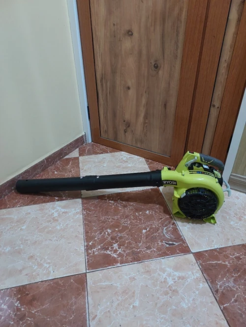 Souffleur Ryobi