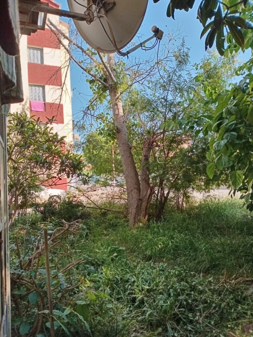 Vente Appartement F3 Blida Larbaa