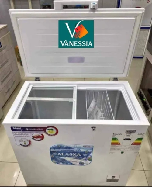 Congélateur marque géant 260L