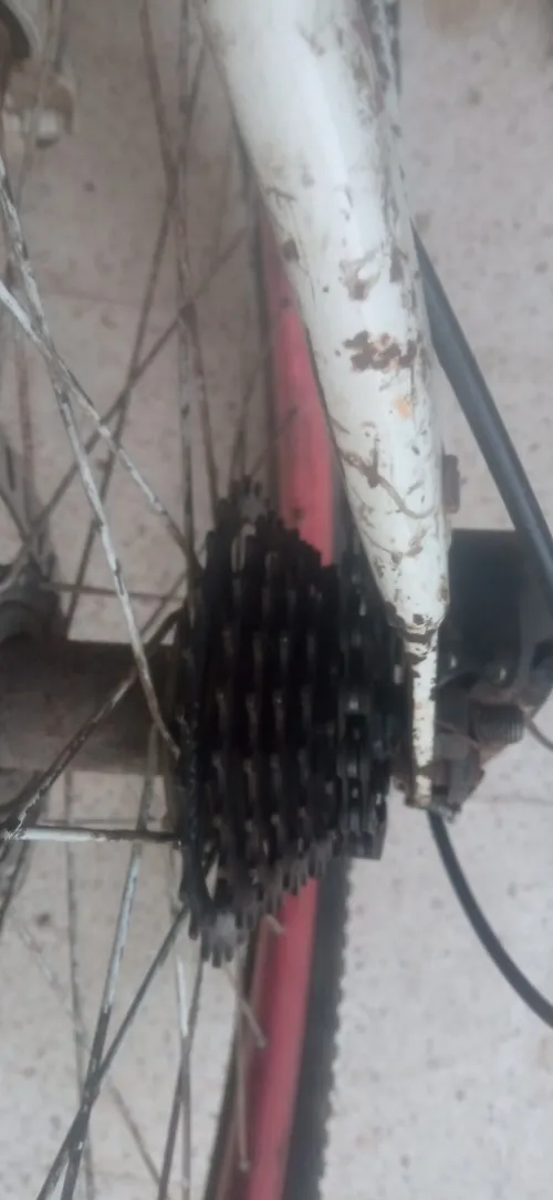 Vélo ham