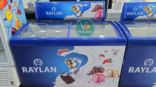 Congélateur présentoir marque RAYLAN 328LNN