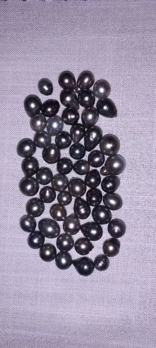 Perles