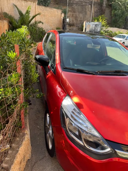 Renault Clio 4 2013 Exception