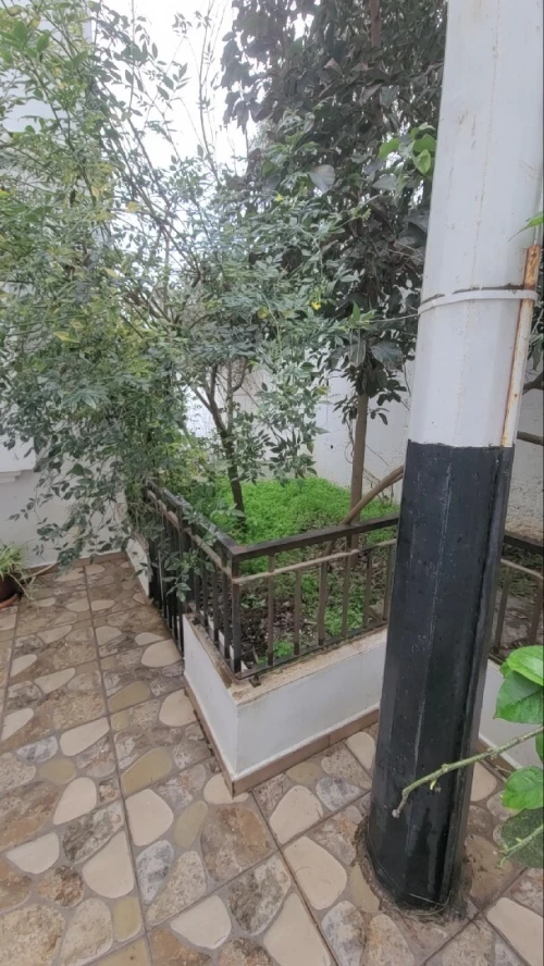 Vente Villa Alger Ouled fayet