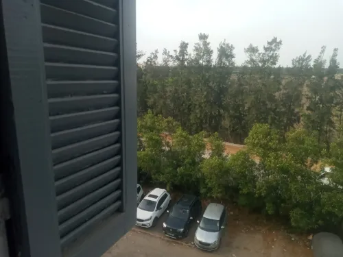 Location Appartement F3 Alger Les eucalyptus