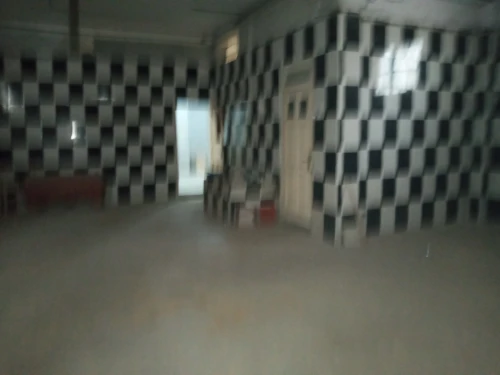 Location Villa Alger Les eucalyptus
