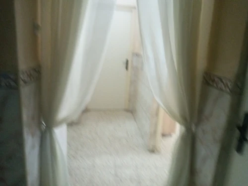 Vente Appartement F3 Alger Les eucalyptus