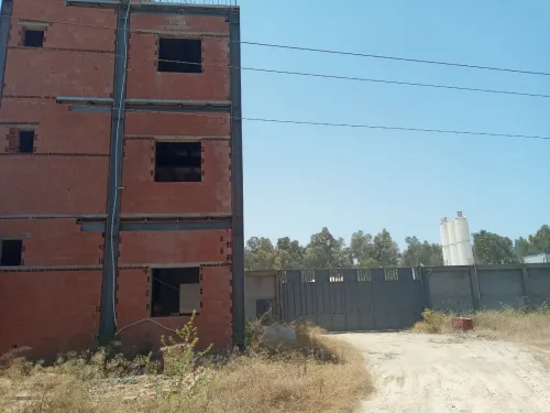 Location Hangar Blida Soumaa