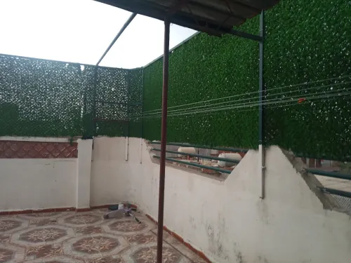 Vente Villa Alger Les eucalyptus