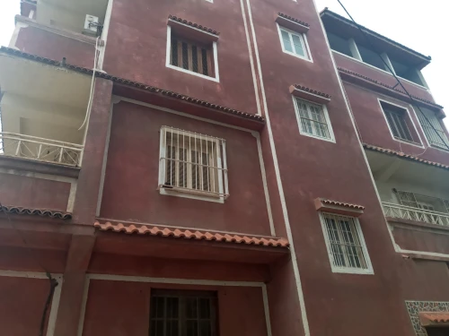 Location Villa Alger Les eucalyptus