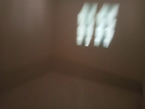 Location Villa Alger Les eucalyptus