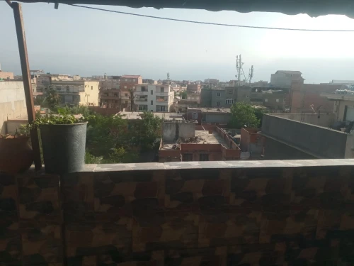 Vente Villa Alger Les eucalyptus