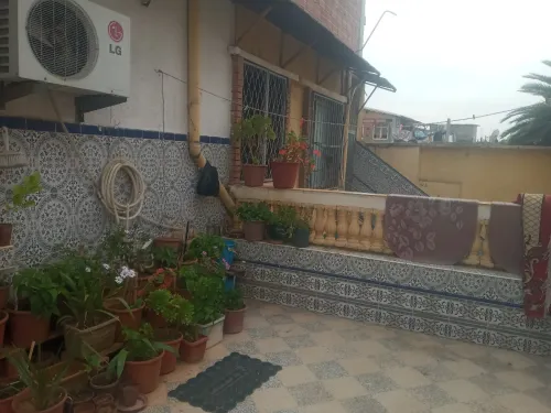 Vente Villa Alger Les eucalyptus