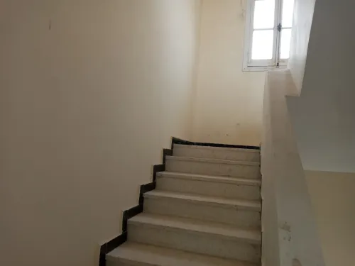 Location Villa Alger Les eucalyptus