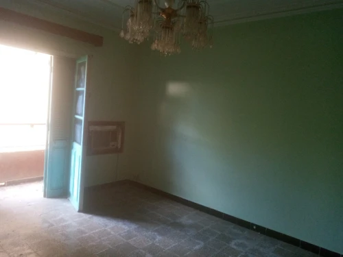 Location Villa Alger Les eucalyptus