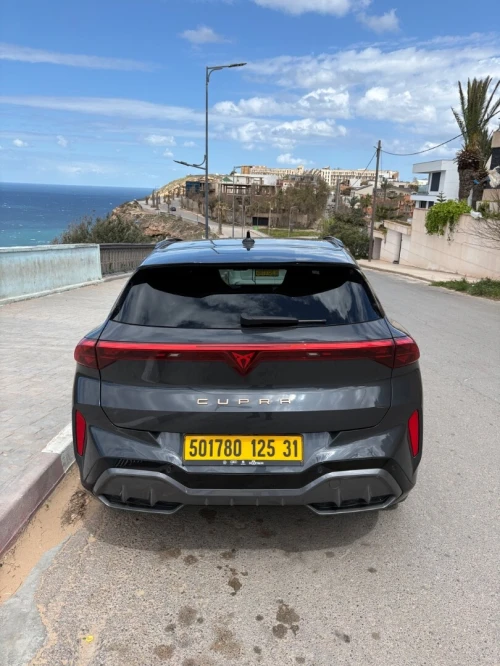 Cupra  Terramar 2025 