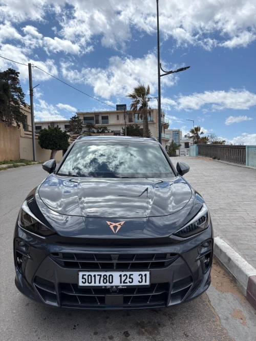 Cupra  Terramar 2025 
