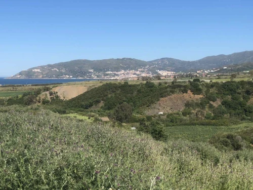 Vente Terrain Tizi Ouzou Azeffoun
