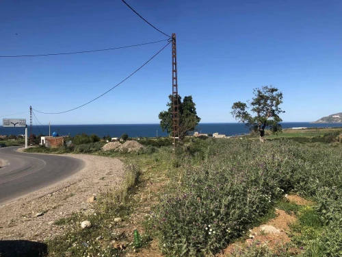 Vente Terrain Tizi Ouzou Azeffoun