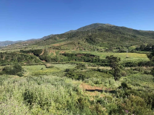 Vente Terrain Tizi Ouzou Azeffoun