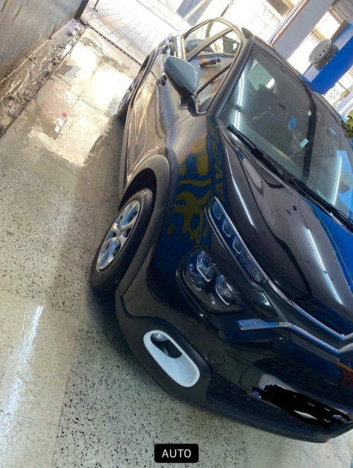 Citroen C3 2024 Shains