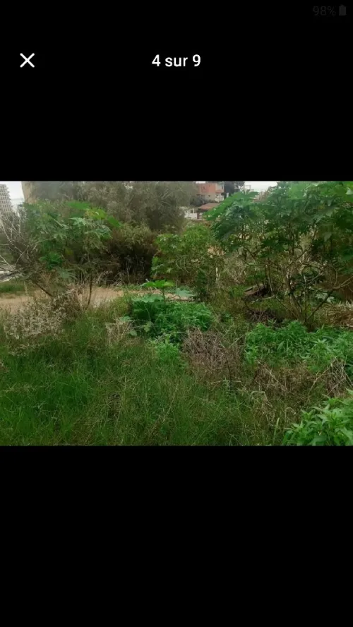 Vente Terrain Annaba Annaba