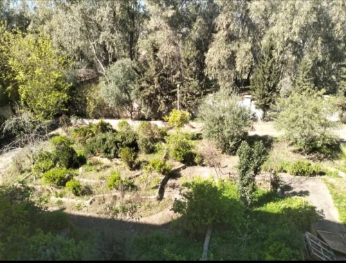Location Appartement F4 Constantine Constantine