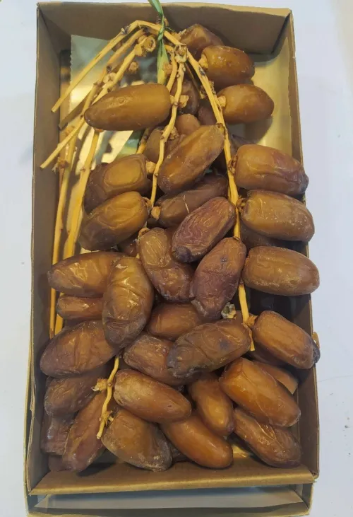Dattes deglet Nour d'Algérie تمور جزائرية ممتازة
