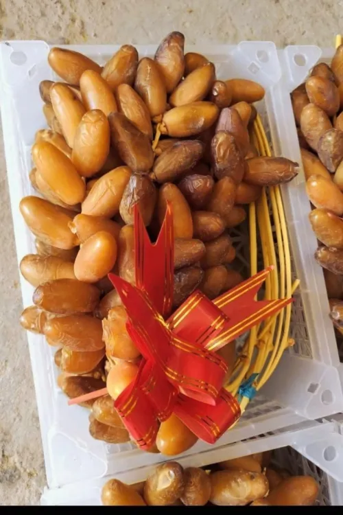 Dattes deglet Nour d'Algérie تمور جزائرية ممتازة