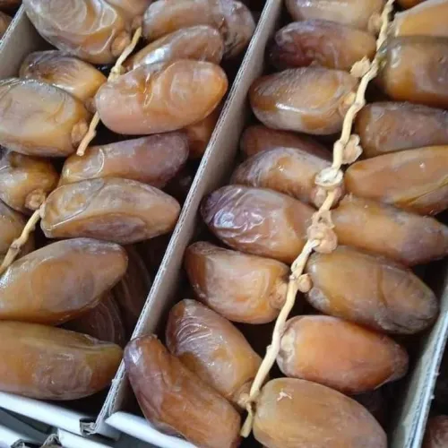 Dattes deglet Nour d'Algérie تمور جزائرية ممتازة