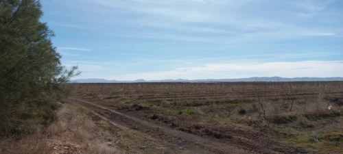 Vente Terrain Djelfa Ain oussara