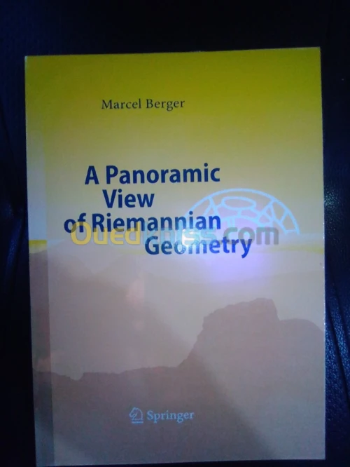 A Panoramic View of Riemannian Geometry 