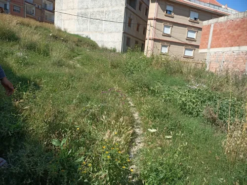 Vente Terrain Béjaïa El kseur