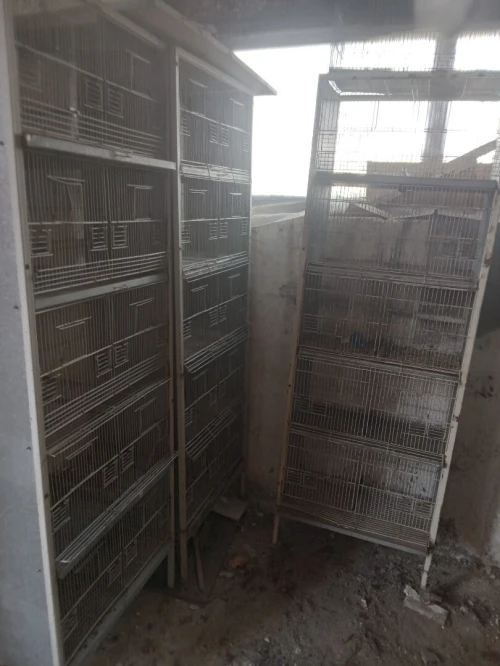 Batterie & cage pour oiseaux