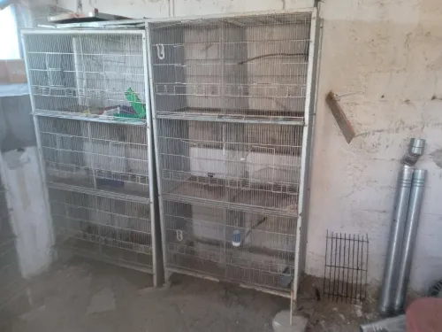 Batterie & cage pour oiseaux