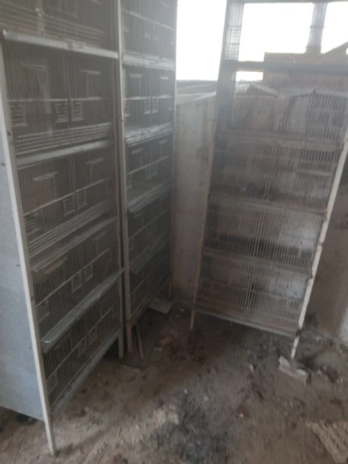 Batterie & cage pour oiseaux