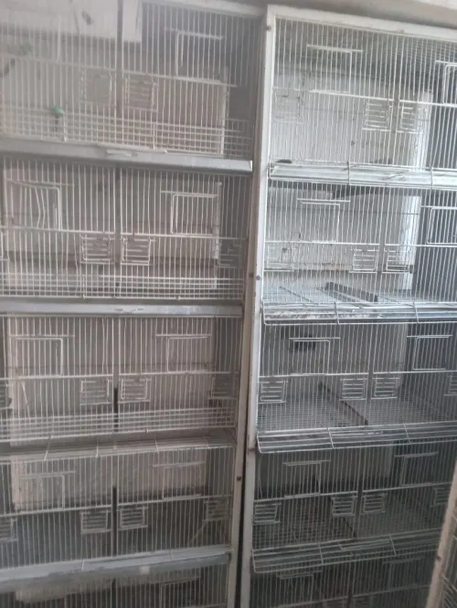 Batterie & cage pour oiseaux
