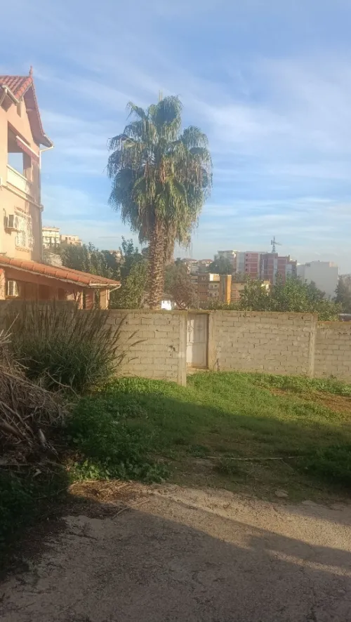 Vente Terrain Alger Ain naadja