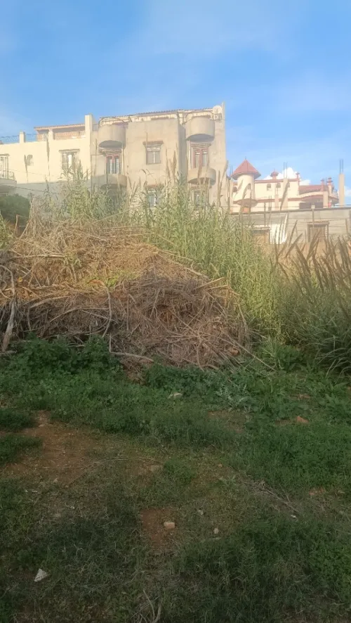 Vente Terrain Alger Ain naadja