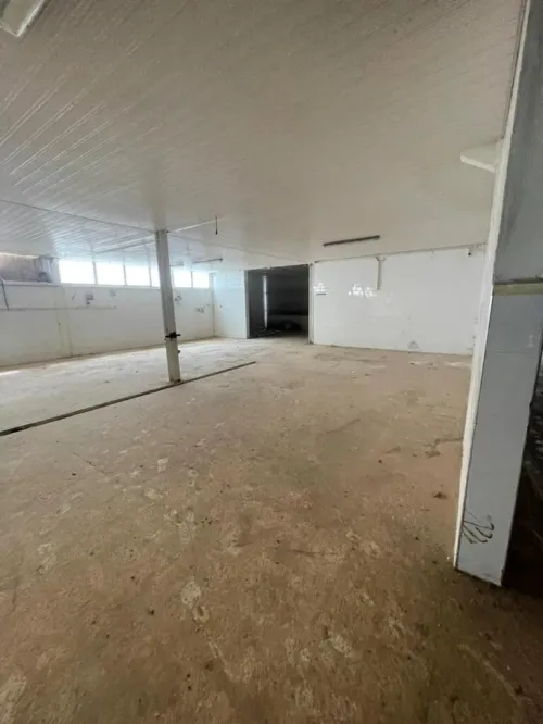 Vente Hangar - Usine Oran Oued tlelat