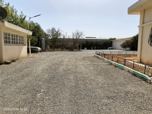 Vente Hangar - Usine Batna Batna