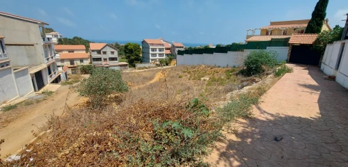 Vente Terrain Tipaza Tipaza