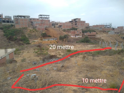 Vente Terrain Blida Meftah