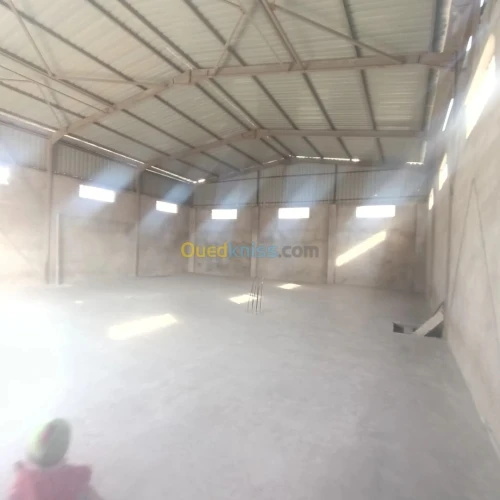 Vente Hangar Boumerdès Ouled moussa