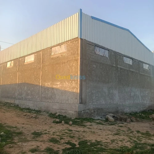Vente Hangar Boumerdès Ouled moussa
