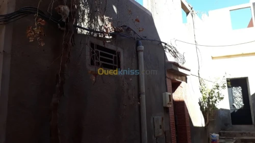Vente Terrain Tlemcen Maghnia
