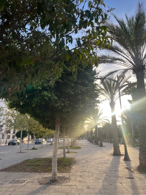 Vente Villa Sidi Bel Abbès Sidi bel abbes